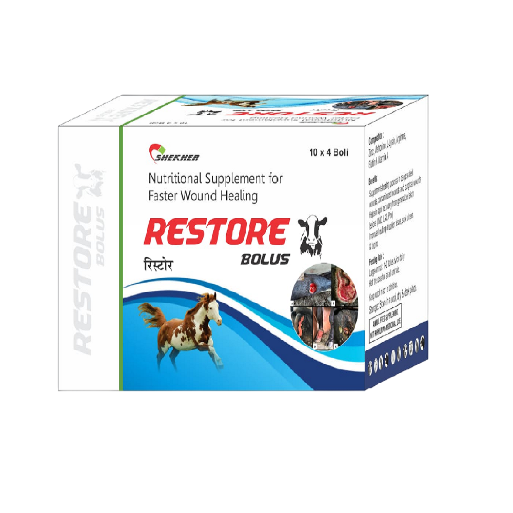 RESTORE
