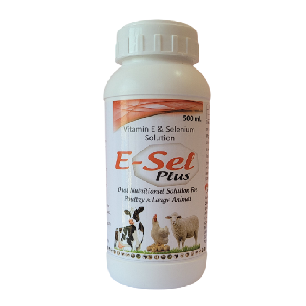 ESEL PLUS LIQUID