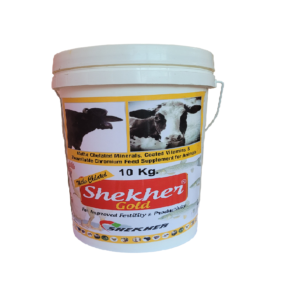 METHO CHELATED SHEKHER GOLD  POWDER